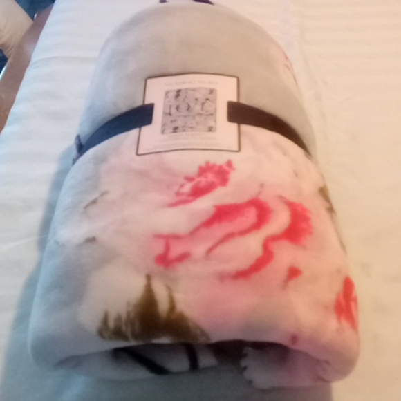 Clothes - Picture 2 of 3